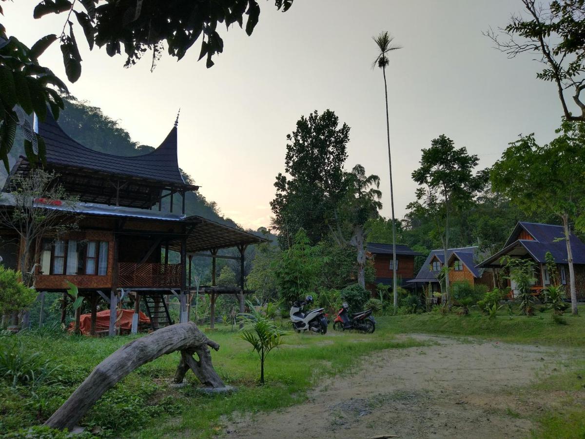 Lodge Canyon Jungle *