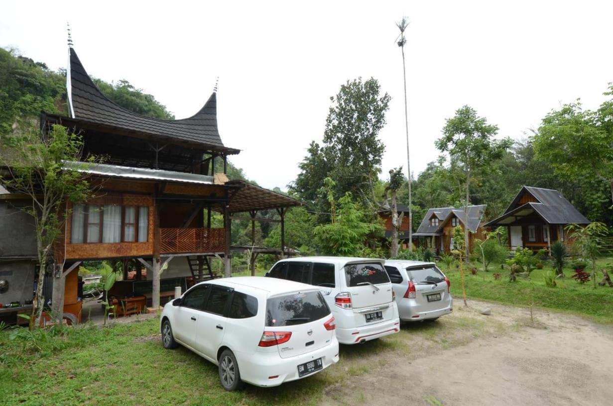 Lodge Canyon Jungle *